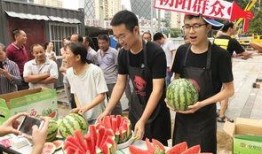 北京朝阳吃瓜群众网